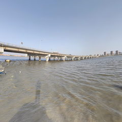 青岛观鸥汀